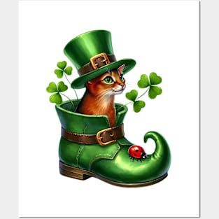 Abyssinian Cat Shoes For Patricks Day Posters and Art